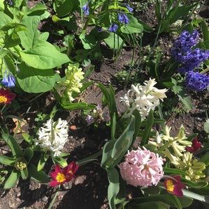 Meet your Posher, Karen